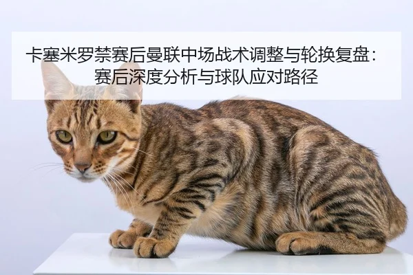 ka-sai-mi-luo-jin-sai-hou-man-lian-zhong-chang-zhan-shu-tiao-zheng-yu-lun-huan-fu-pan-sai-hou-shen-du-fen-xi-yu-qiu-dui-2-139.jpg